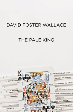 David Wallace The Pale King: An Unfinished Novel обложка книги