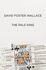 David Wallace - The Pale King - An Unfinished Novel