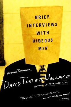 David Wallace Brief Interviews with Hideous Men обложка книги