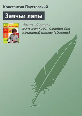 Константин Паустовский Заячьи лапы обложка книги