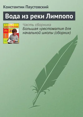 Константин Паустовский Вода из реки Лимпопо обложка книги