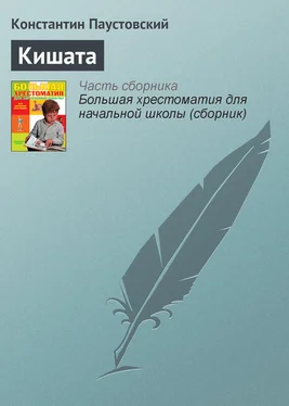 Константин Паустовский Кишата обложка книги