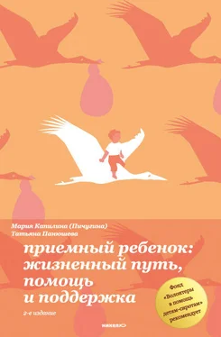 Татьяна Панюшева Приемный ребенок. Жизненный путь, помощь и поддерка обложка книги