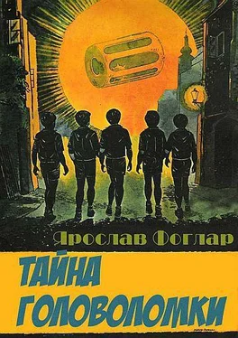 Ярослав Фоглар Тайна головоломки обложка книги