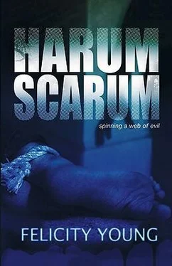 Felicity Young Harum Scarum обложка книги