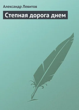 Александр Левитов Степная дорога днем обложка книги