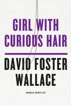 David Wallace Girl With Curious Hair обложка книги