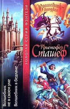 Кристофер Сташеф Волшебник в Бедламе обложка книги