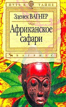 Зденек Вагнер Африканское сафари обложка книги