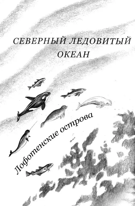 Предисловие для взрослых В книге Улафа Кушерона Приключения маленькой трески - фото 3