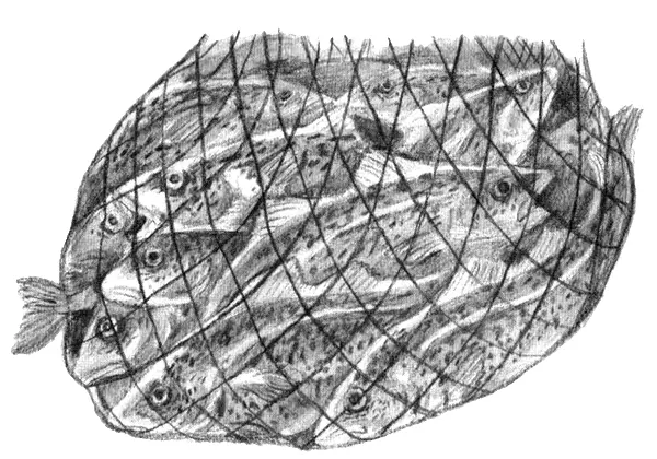 Старая треска очевидно угадала мысли Тронда Пожалуй тебе не стоит плыть - фото 48