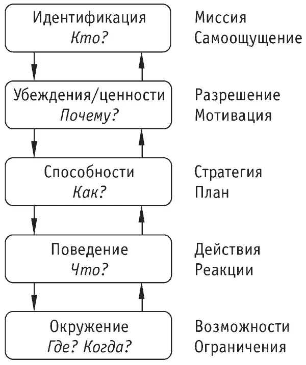 Рис 22Схема вложенных уровней опыта На каждом их этих уровней есть системы - фото 3