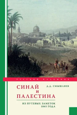 Дмитрий Смышляев Синай и Палестина. Из путевых заметок 1865 года обложка книги