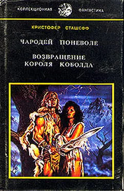 Кристофер Сташеф Возвращение короля Коболда обложка книги