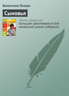 Валентина Осеева Сыновья обложка книги