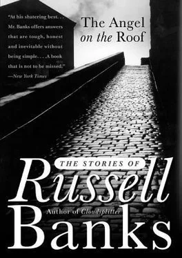 Russell Banks The Angel on the Roof обложка книги