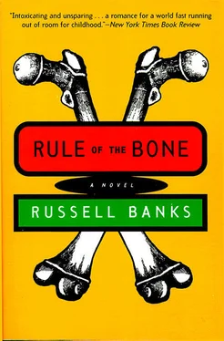 Russell Banks Rule of the Bone обложка книги