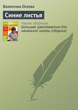 Валентина Осеева Синие листья обложка книги