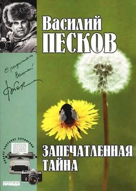 Василий Песков Полное собрание сочинений. Том 13. Запечатленные тайны обложка книги