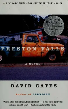 David Gates Preston Falls обложка книги