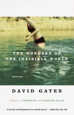 David Gates The Wonders of the Invisible World обложка книги