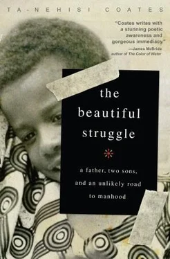 Ta-Nehisi Coates The Beautiful Struggle: A Father, Two Sons, and an Unlikely Road to Manhood