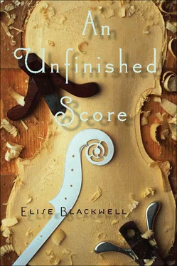 Elise Blackwell An Unfinished Score обложка книги