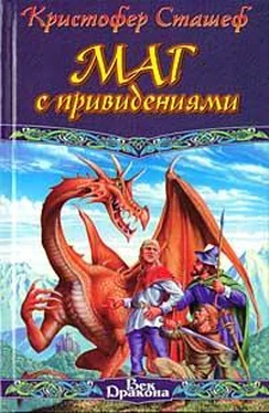 Кристофер Сташеф Маг с привидениями обложка книги