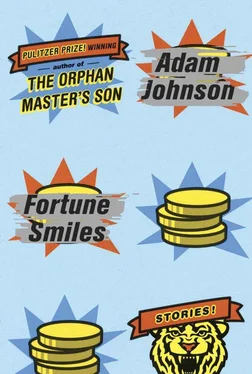 Adam Johnson Fortune Smiles: Stories обложка книги