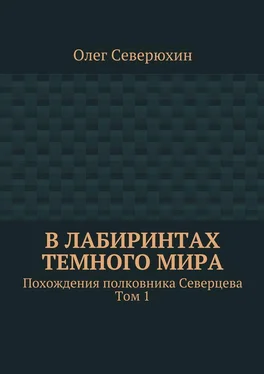 Олег Северюхин В лабиринтах тёмного мира обложка книги