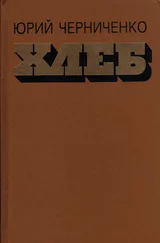 Юрий Черниченко - Хлеб
