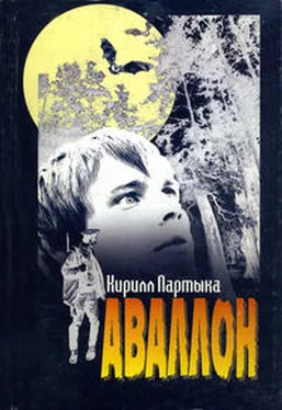 Кирилл Партыка Аваллон обложка книги