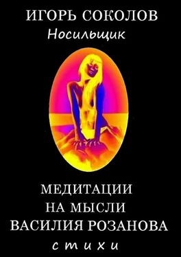 Игорь Соколов Медитации на мысли Василия Розанова обложка книги