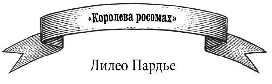 Она была женщиной она была девственным лесом она была блудницей ведьмой - фото 9