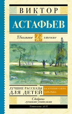 Виктор Астафьев Лучшие рассказы для детей обложка книги