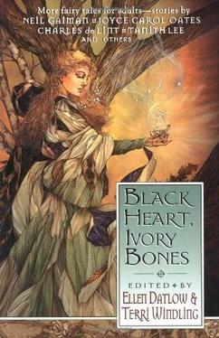 Ellen Datlow Black Heart, Ivory Bones обложка книги