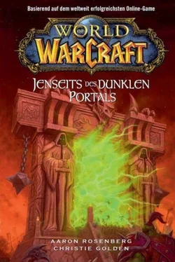 Aaron Rosenberg Jenseits des dunklen Portals обложка книги