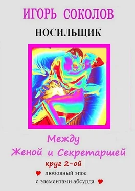 Игорь Соколов Между женой и секретаршей. Круг 2-й обложка книги