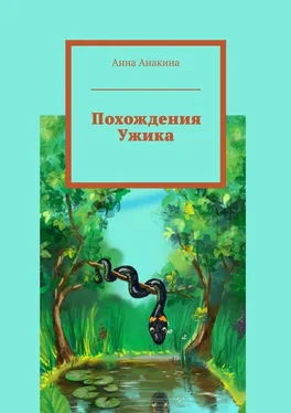 Анна Анакина Похождения Ужика обложка книги