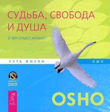 Бхагван Раджниш Судьба, свобода и душа. В чем смысл жизни? обложка книги