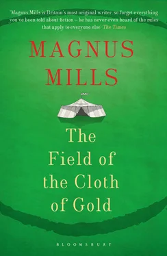 Magnus Mills The Field of the Cloth of Gold обложка книги
