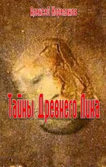 Алексей Корепанов - Тайна Древнего Лика