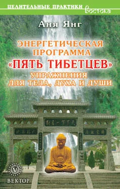 Аня Янг Энергетическая программа «Пять Тибетцев». Упражнения для тела, духа и души обложка книги