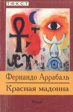 Фернандо Аррабаль Красная мадонна обложка книги