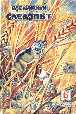 В. Чаплыгин Всемирный следопыт, 1930 № 06 обложка книги