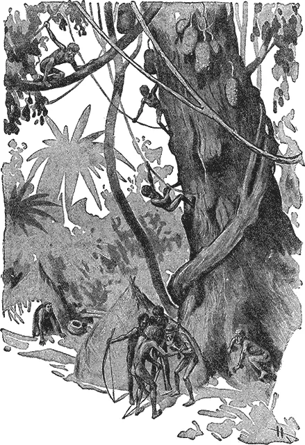 Я набрел на поселение пигмеев самых маленьких людей на земном шаре Впрочем - фото 13