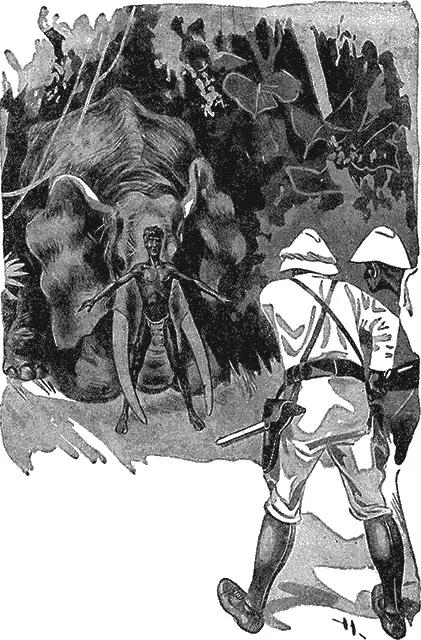 Туземец подбежал ко мне ближе как бы желая защитить меня от выстрела Однажды - фото 14