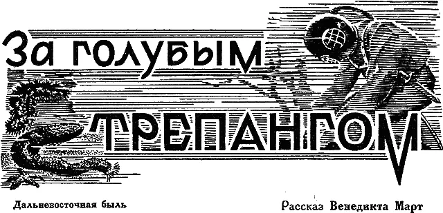 Начался весенний лов трепангов 1 Трепанги или голотурии животные класса - фото 4