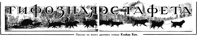 Далеко на самом севере полуострова Аляски в городе Номе лежащем на берегу - фото 13