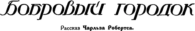 I Под ледяной кровлей Пробиваясь тонкими струйками вниз через покров снега - фото 25